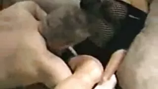 La charmante petite fille aux seins plats et aux papilles gonflées a accepté de s'amuser avec un amant noir à la longue pointe épaisse qui savait mure et nue plaire correctement aux filles.